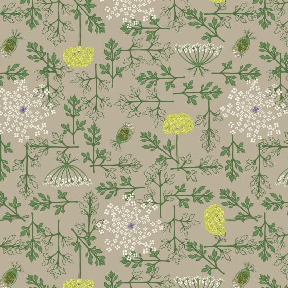 wilde peen wild carrot daucus Carola