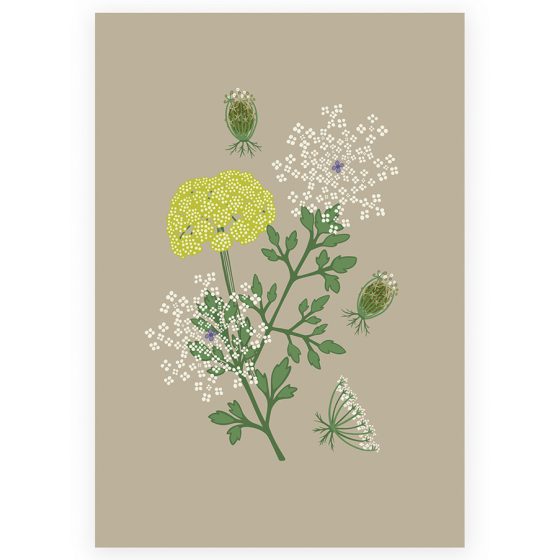 Wilde bloemen op een kaartje: wilde peen